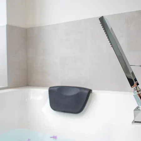 Appartement Des Ducs Avec Baignoire Double